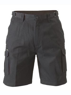 Sears 2025 cargo shorts